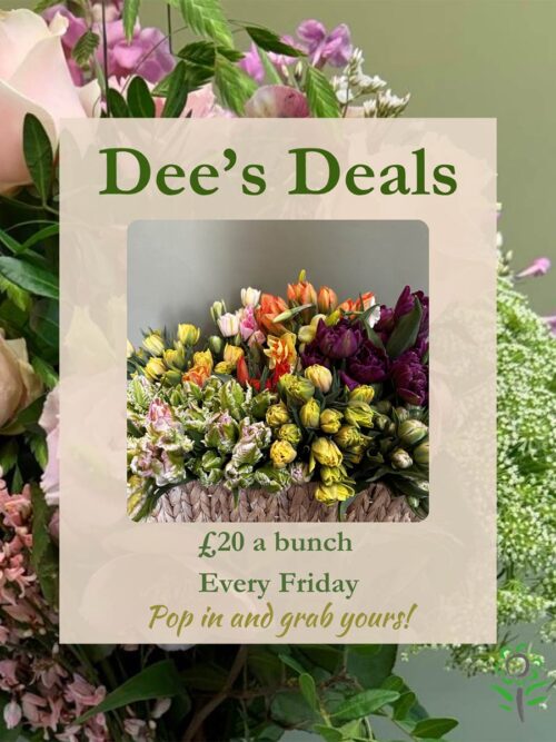 dees-deals